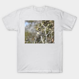 Yellow-rumped, myrtle, warbler, wild birds, wildlife gifts T-Shirt